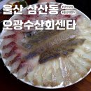 울산 삼산동 횟집 오광수산회센타 달동횟집 신선한 활어회 해산물 맛집