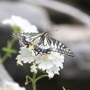 함평천지길 이미지