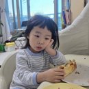 신생활 | [임신일기] 임신후기 이야기 (35~36주) | 조기수축 그 후 일상 | 임신후기 운동재개 등