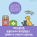 백약국 이미지