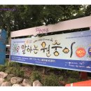 어린이 소리극 <말하는 원숭이> 이미지