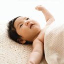 약사란제리 이미지