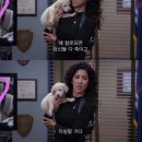 오늘카페 이미지