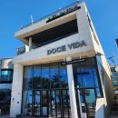 [만리포해수욕장 바다보이는 카페] 도쎄비다(DOCE VIDA) 도체비다 오션뷰 카페 추천 만리포니아 서핑 커피