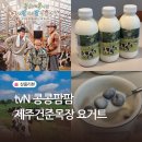 복지목장 | 콩콩팜팜 보고 구매한 건준목장 요거트 내돈내산 후기 파는 곳