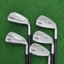 장수골프연습장 | 장수 골프샵 PXG 여성 중고 아이언 시타 구매 후기