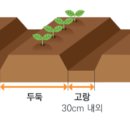 고랑 이미지