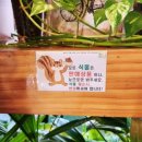 카페나의라임오렌지