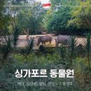동물원주유소 개방화장실 | 싱가포르 동물원 예약 입장권 운영시간 가는법과 관람 정보 정리