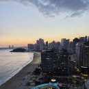 트럼프월드 아름다운세탁 | [부산] 시그니엘 부산 프리미어 더블룸 오션뷰 객실 후기 (+ 베이비문)