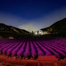 무릉 3지구 이미지