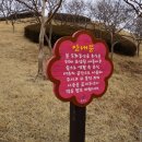 터미널 삼거리 이미지