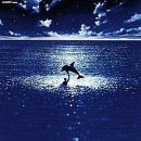 그랑블루 이미지