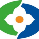 영동군청 티스토리
