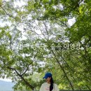 하늘숲 야영장 이미지