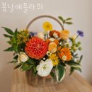 봄날애플라워