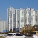 동탄중앙초등학교 | 다꿈스쿨 임장부트캠프 동탄임장후기(벡터님 임장리딩)