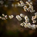 매화지역아동센터 이미지