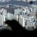 태영글로벌주 이미지