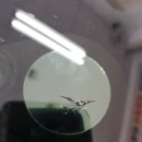 성실자동차  부분정비 이미지