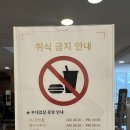 낙산비치호텔 멀티룸 이미지