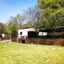 테마 애견 이미지