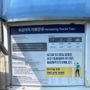 수원 화성행궁 | 수원 화성 행궁 어차 후기 예매 가격 할인 타는 곳 위치 노선 운행시간 좌석 추천