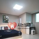 제니스17차 이미지