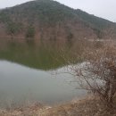 경주 화곡저수지 정출 후기입니다.