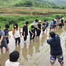 순천성동초등학교 이미지