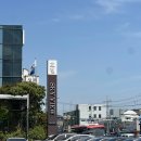 (주)마산관광호텔 | 창원 마산 단독 웨딩홀 스카이뷰관광호텔 웨딩 하객 후기