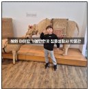 짚풀생활사박물관 | 혜화 아이랑 가볼만한곳 추천 짚풀생활사박물관