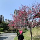 세븐일레븐부산두구점 | 부모님과 함께하는 3박 4일 대만 자유여행 4일차 (feat. 하치푸푸)