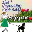 집 안에 노인이 없거든 빌려라/ 그리스 격언 이미지