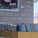 통영리스타트플랫폼 세미나실4(3층) 이미지