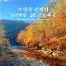 오대산 선재길 단풍 구경 상원사 - 월정사 방향