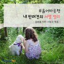 올어바웃펫 이미지