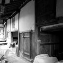 영주수도리김위진가옥 이미지