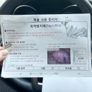 [총총이 임신일기🐰]38주_총총이 만나기 전 마지막진료🥹