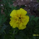 양지어린이집 이미지