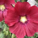 자미원농장 이미지