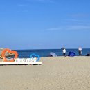 물치해수욕장 화장실 이미지