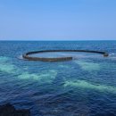 김녕쉼표 이미지