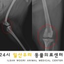 백두 동물병원 이미지