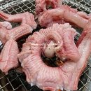 자갈치 산꼼장어 아나고 이미지