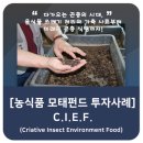 이에프