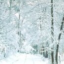 고방[6515]止軒,李奎報(이규보)-雪中,訪友人不遇(설중,방우인불우) 이미지
