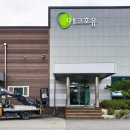 새샘광고공사 이미지