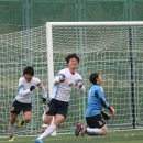광양축구전용구장 축구전용1구장 이미지