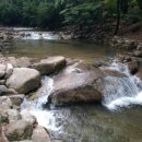 소중한아이들유치원 이미지